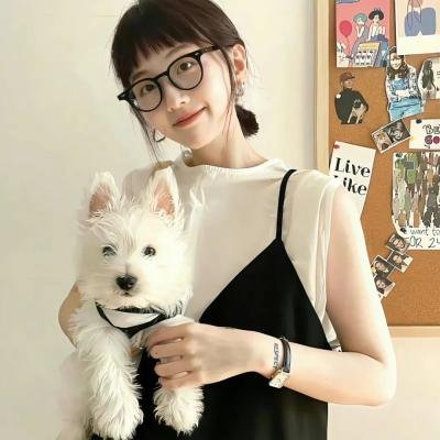 谍海钢面人